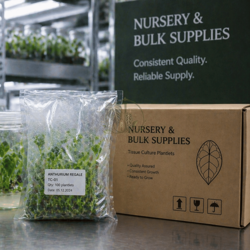 Nursery and Bulk Supplies